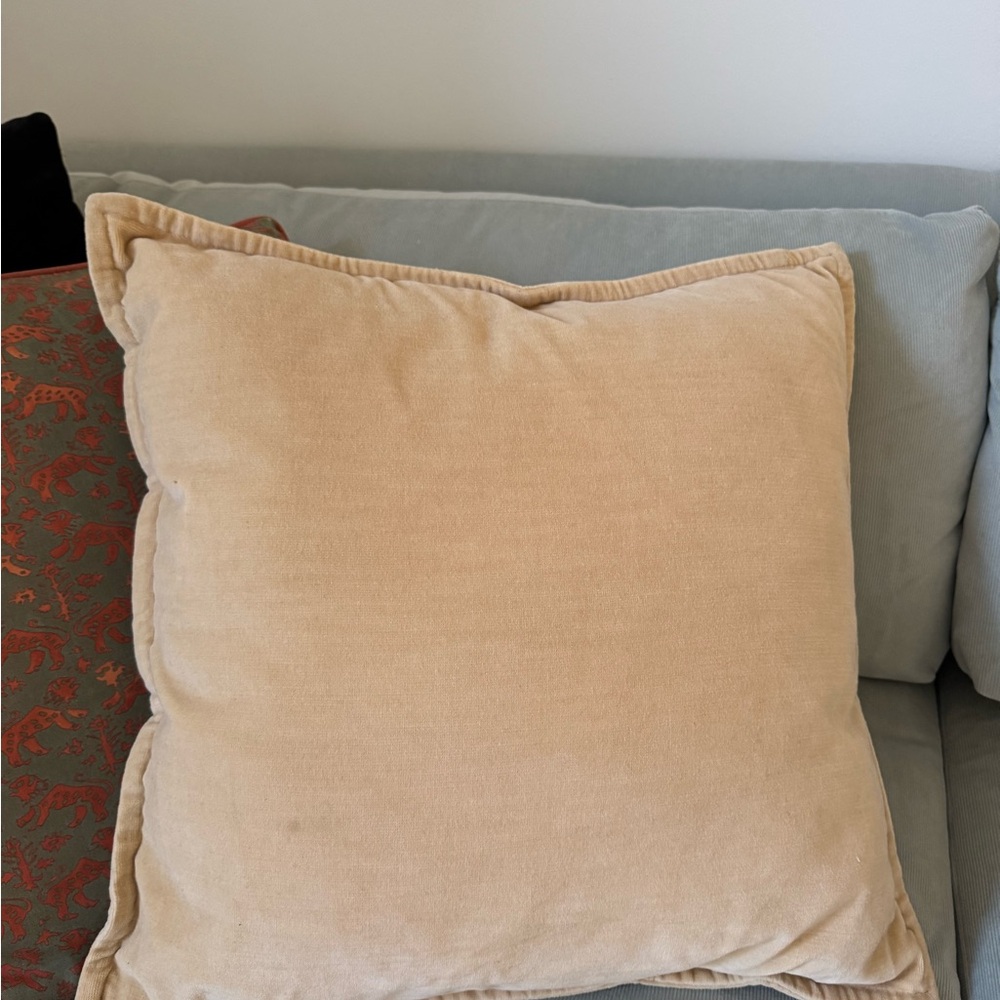 Pottery Barn - Velvet Throw Pillow 20x20